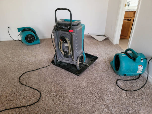 Best Commercial water damage restoration  in Sandy Valley, NV