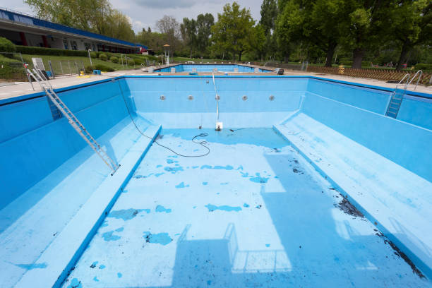 Best Professional water damage repair  in Sandy Valley, NV