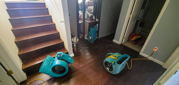 Best Flood restoration services  in Sandy Valley, NV
