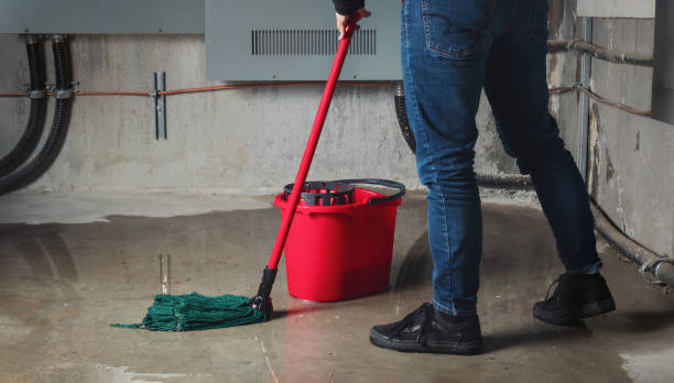 Best Water damage contractors near me  in Sandy Valley, NV