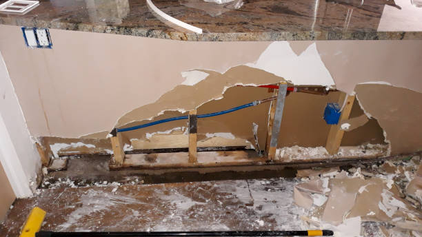 Best 24-hour water damage restoration  in Sandy Valley, NV