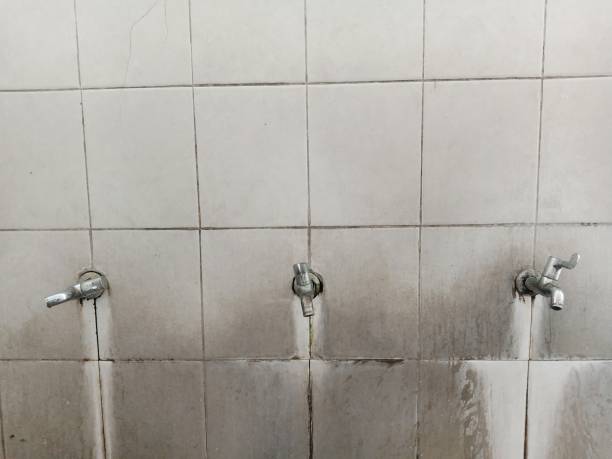 Water damage restoration experts in NV