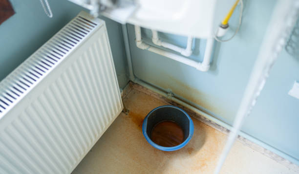 Best Water damage cleanup near me  in Sandy Valley, NV