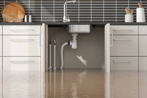 Best Local water damage restoration  in Sandy Valley, NV