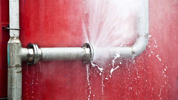 Best Water damage restoration near me  in Sandy Valley, NV